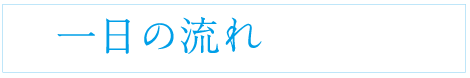 一日の流れ