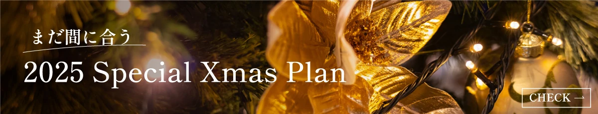 2025 SPECIAL Xmas PLAN