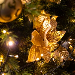 2025 SPECIAL Xmas PLAN