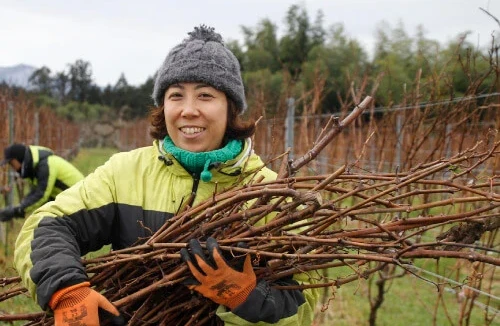ワイナリー事業