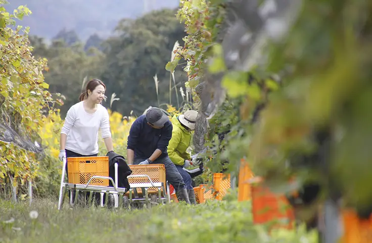 ワイナリー事業